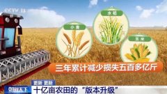 广东省梅州市梅县区仿桂家庭农场场长黄宏：以