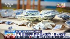 演着陈旧瓷都的“科技蝶变”